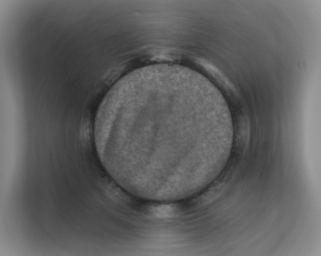 X0000111360513200907311015