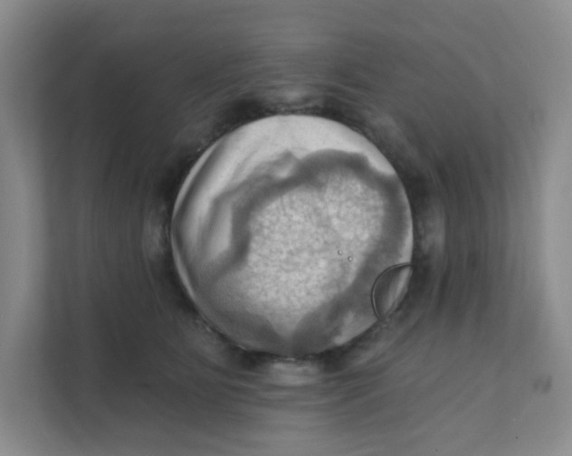 X0000111360515200907311015