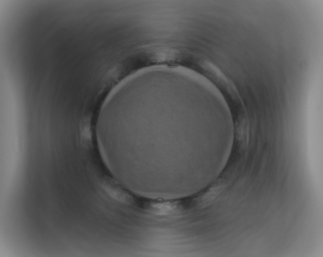 X0000111360516200907311015