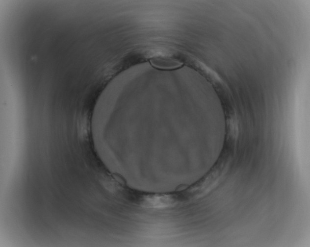 X0000111360517200907311015