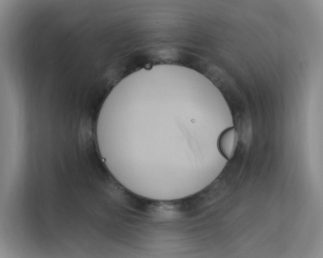 X0000111360518200907311015