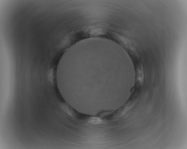 X0000111360519200907311015