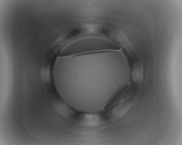 X0000111360520200907311015