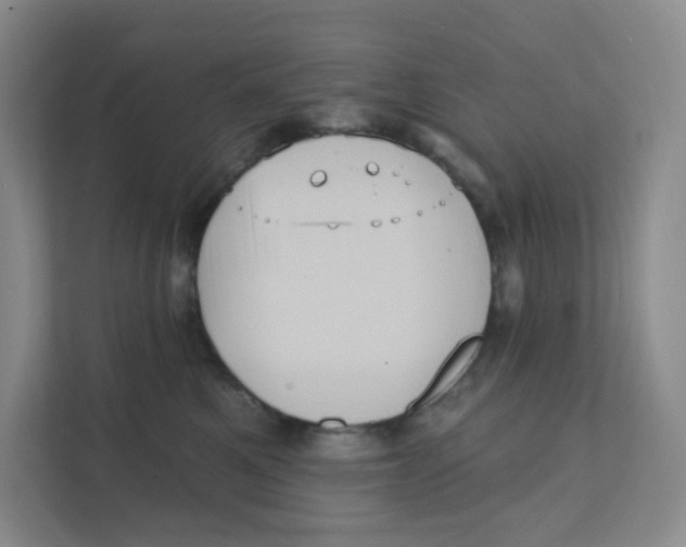 X0000111360521200907311015