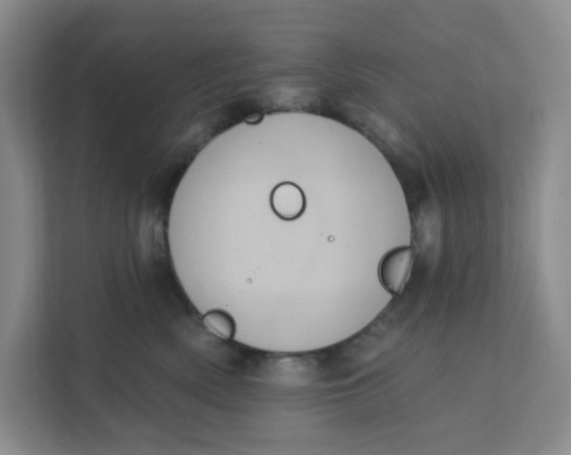 X0000111360522200907311015