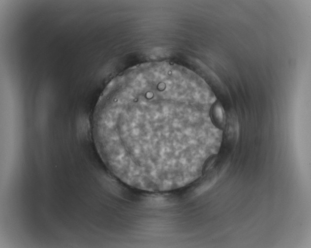 X0000111360523200907311015