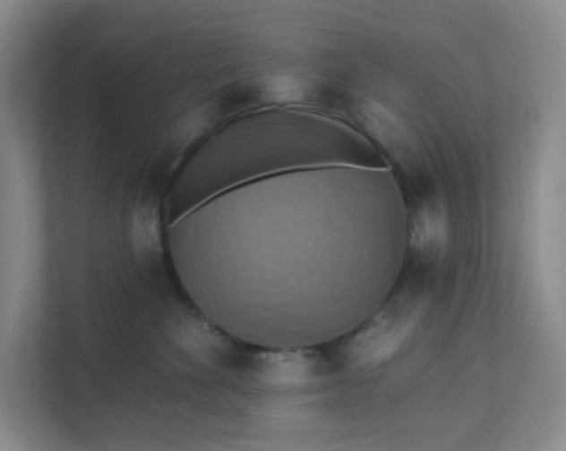 X0000111360524200907311015