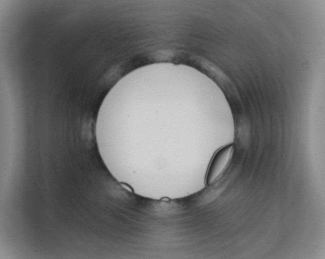 X0000111360525200907311015