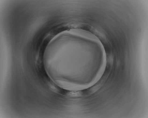 X0000111360526200907311015