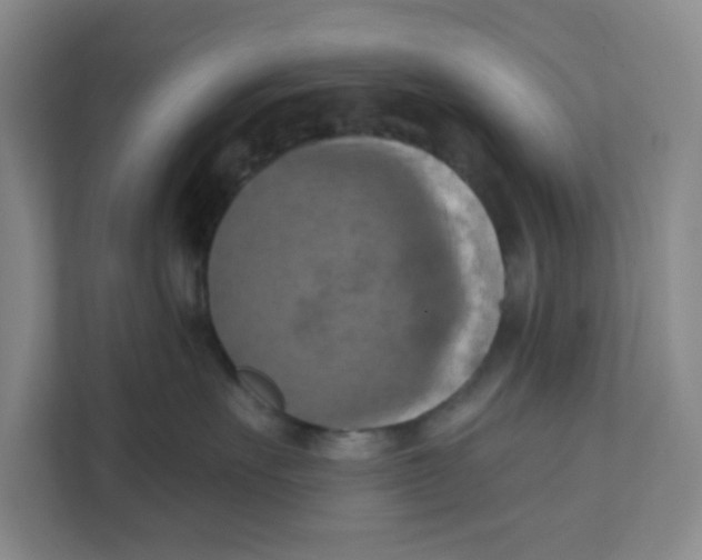 X0000111360527200907311015