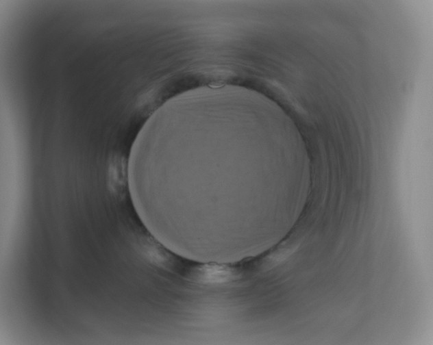 X0000111360528200907311015