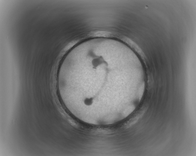 X0000111360529200907311014