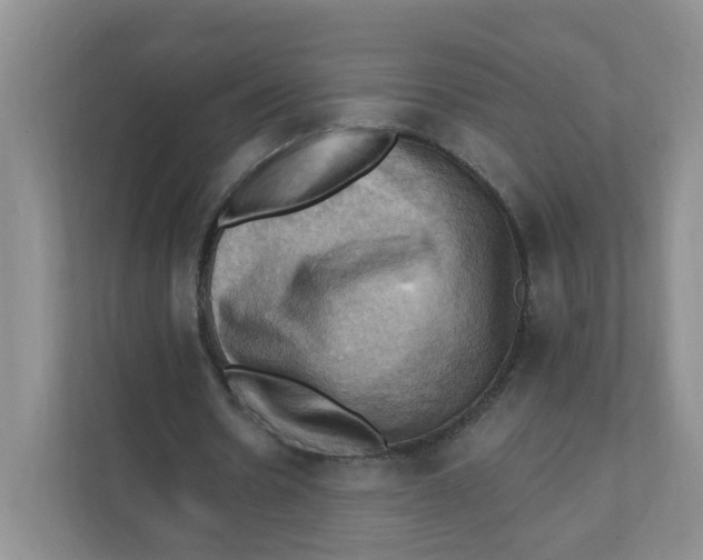 X0000111360530200907311014