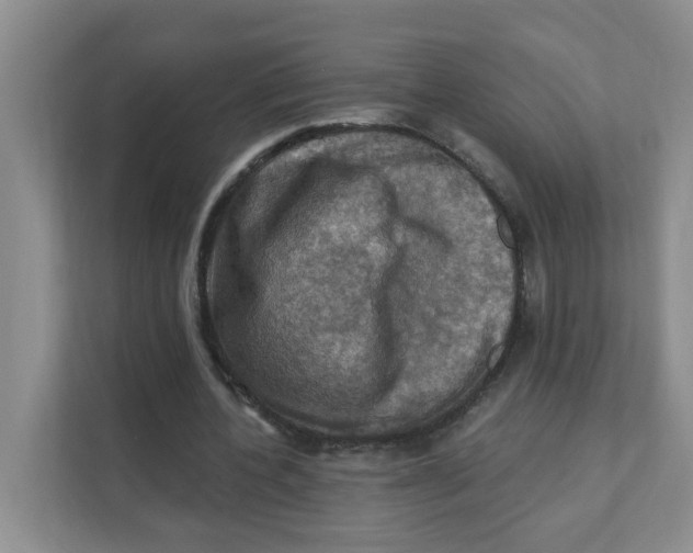 X0000111360532200907311015