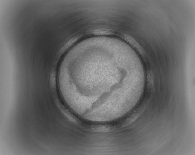 X0000111360533200907311015