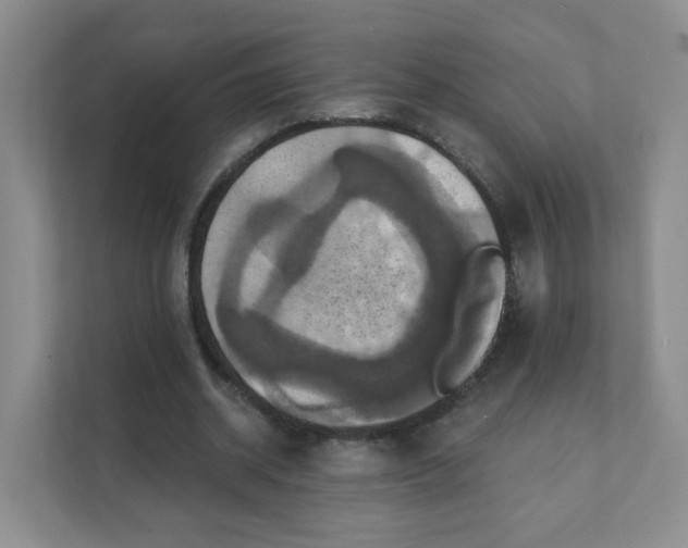 X0000111360534200907311015