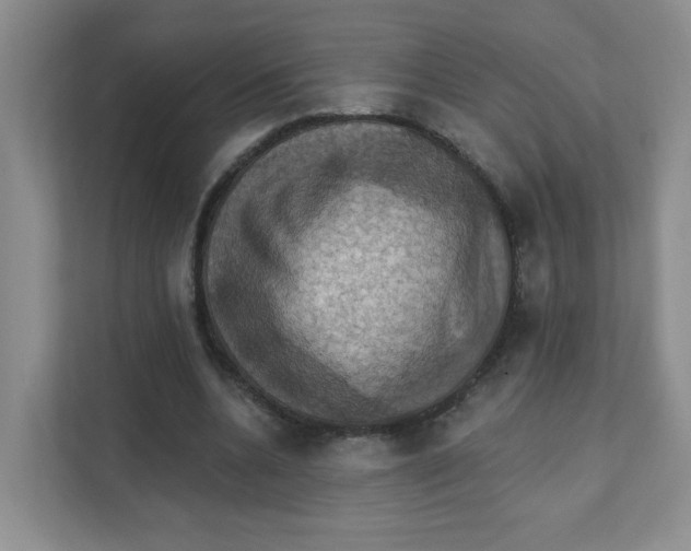 X0000111360536200907311015