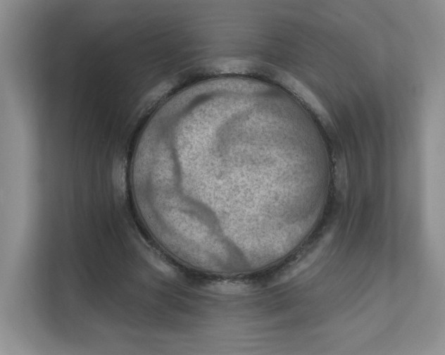 X0000111360537200907311015