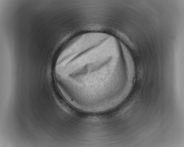 X0000111360538200907311015