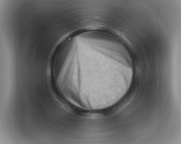 X0000111360539200907311015