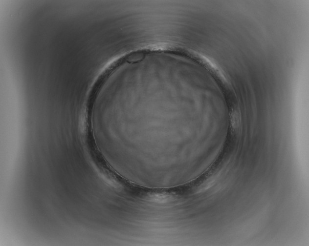 X0000111360540200907311015