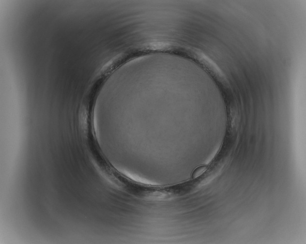 X0000111360542200907311015