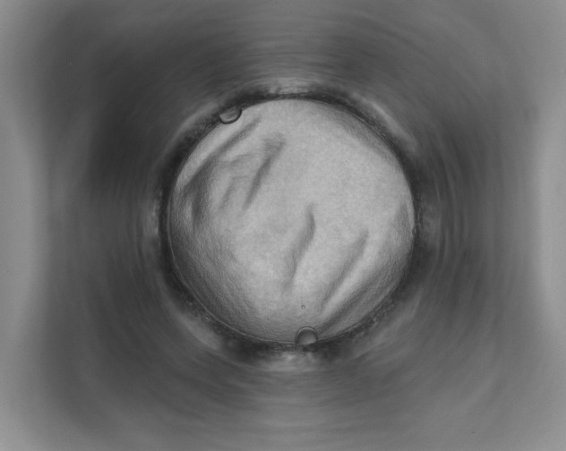 X0000111360543200907311015