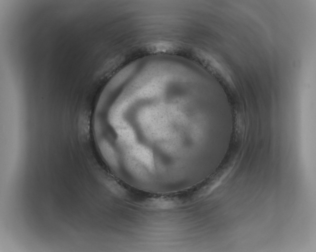 X0000111360545200907311015