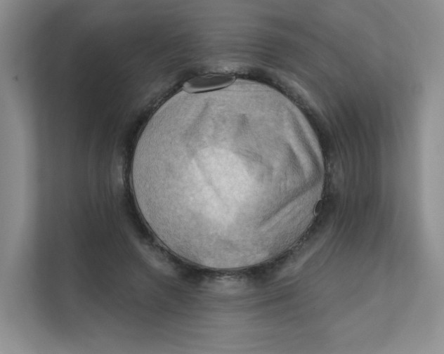 X0000111360546200907311015