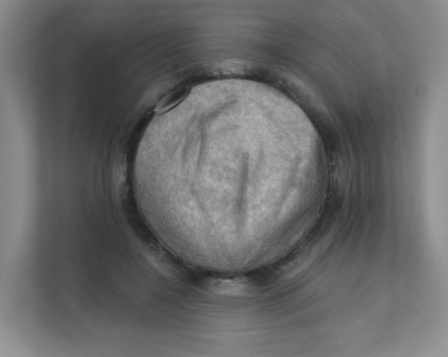 X0000111360548200907311015