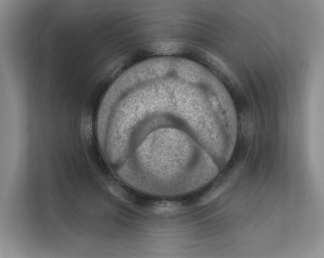 X0000111360549200907311015