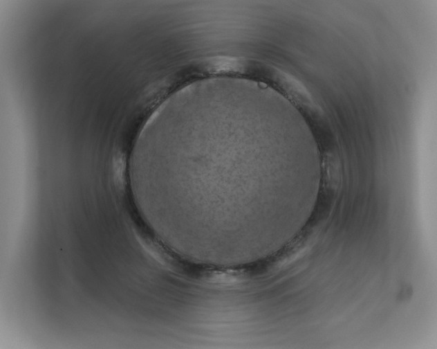 X0000111360550200907311015