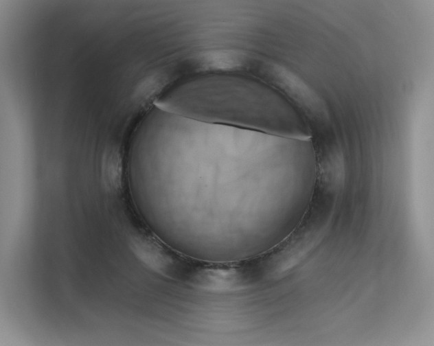 X0000111360552200907311015