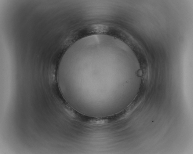 X0000111360553200907311015