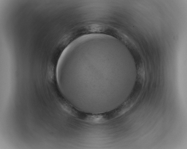 X0000111360554200907311015