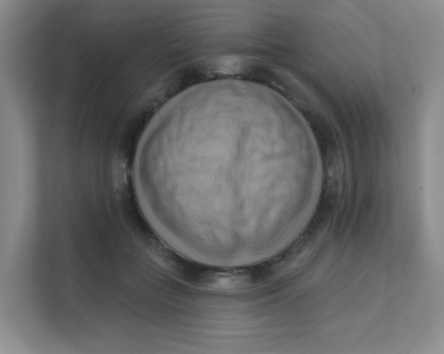 X0000111360555200907311015