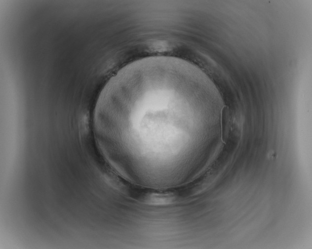 X0000111360556200907311015