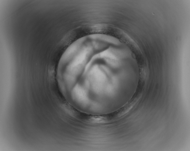 X0000111360557200907311015