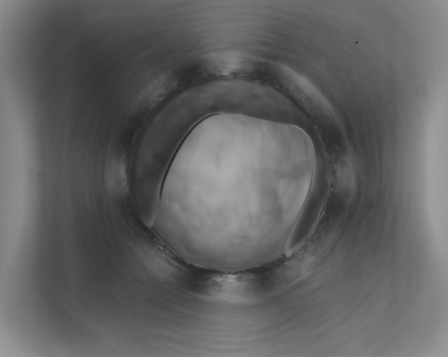 X0000111360558200907311015