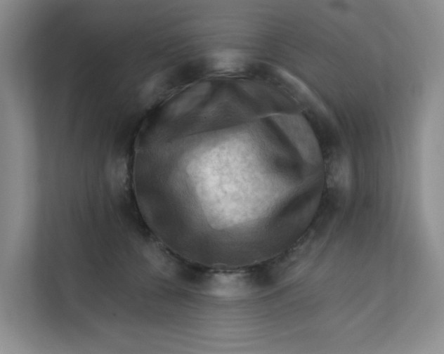 X0000111360560200907311015