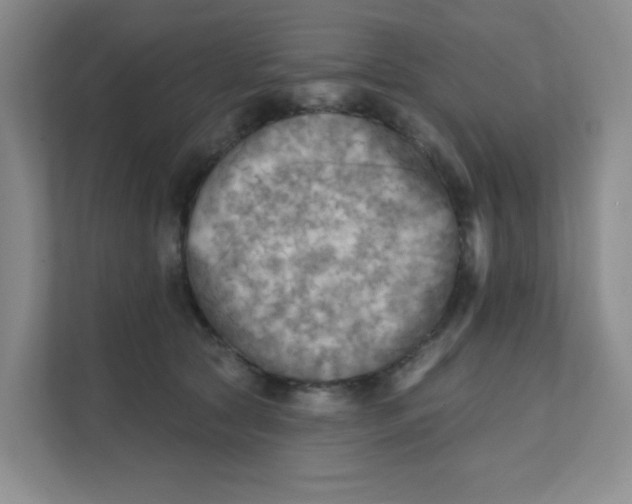 X0000111360561200907311015