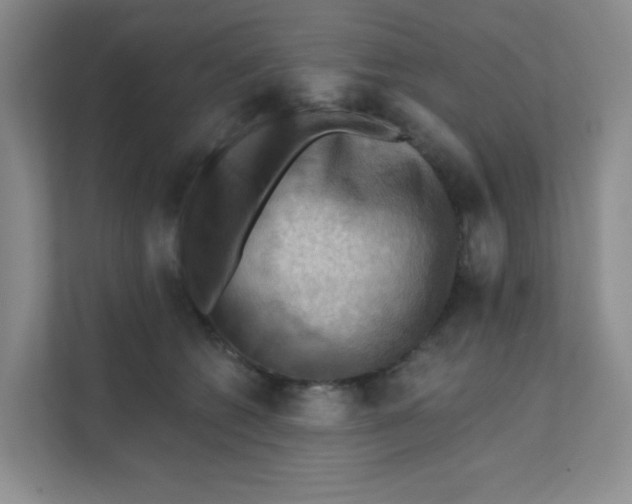 X0000111360562200907311015