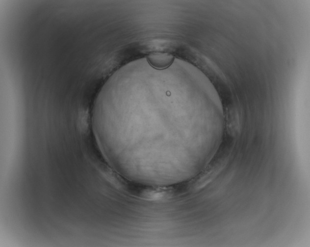 X0000111360563200907311015