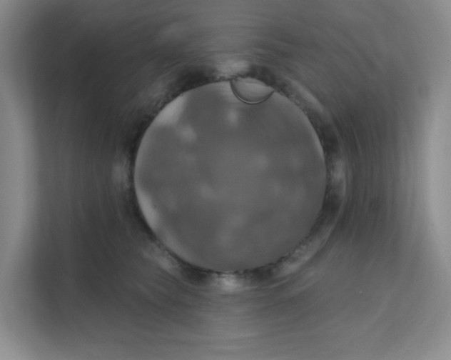 X0000111360565200907311015