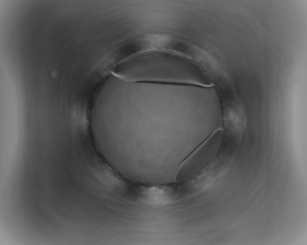 X0000111360566200907311015