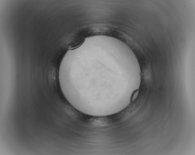 X0000111360567200907311015