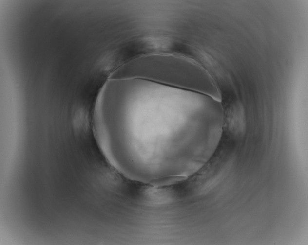 X0000111360568200907311015