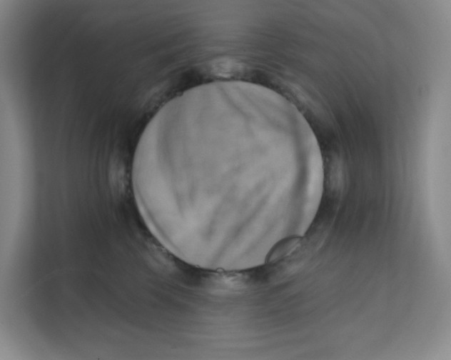 X0000111360569200907311015