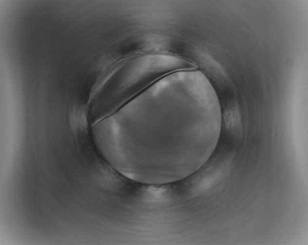 X0000111360570200907311015