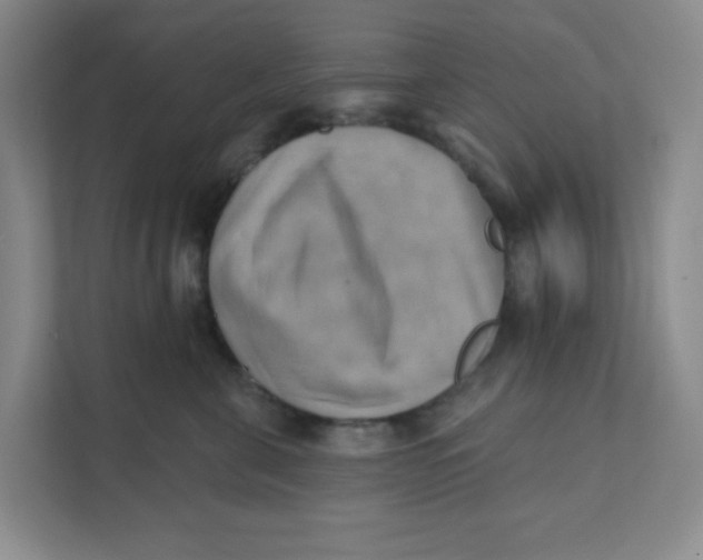 X0000111360571200907311015